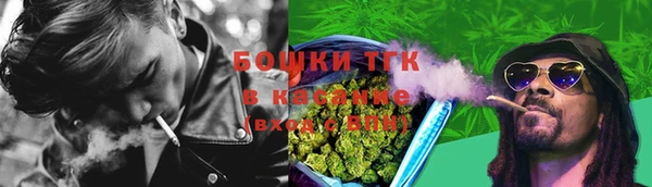 PSILOCYBIN Балабаново