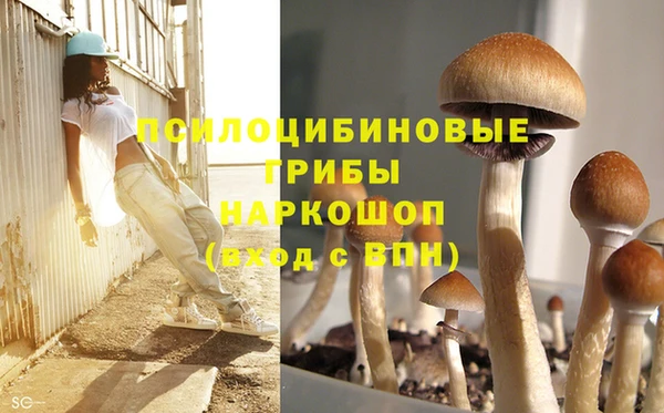 прущая мука Баксан