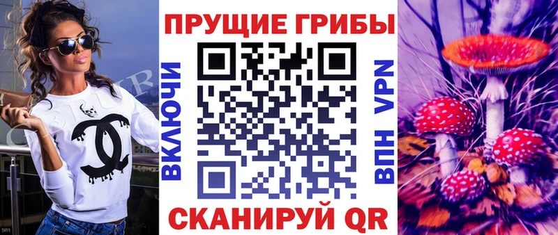 blacksprut онион  Котельники  Псилоцибиновые грибы ЛСД 