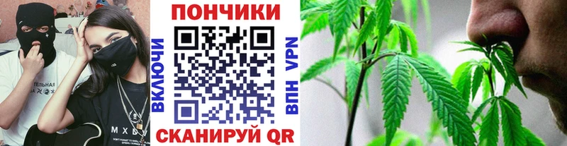 Конопля план купить Котельники